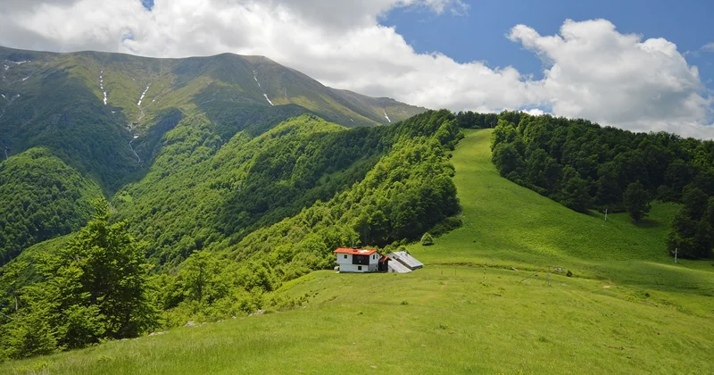 Moussaka grecque, balkanique ou turque : ce qui les distingue